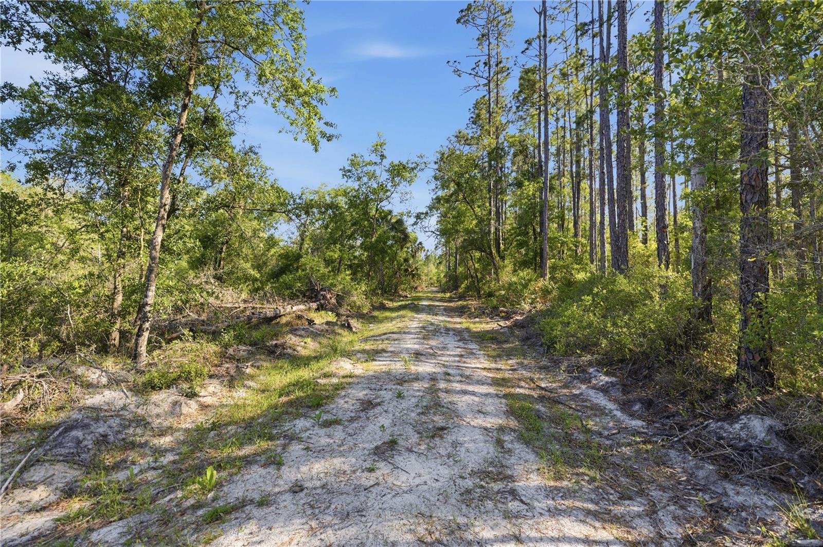 TBD NE 125TH AVE, FORT MC COY, FL, 32134