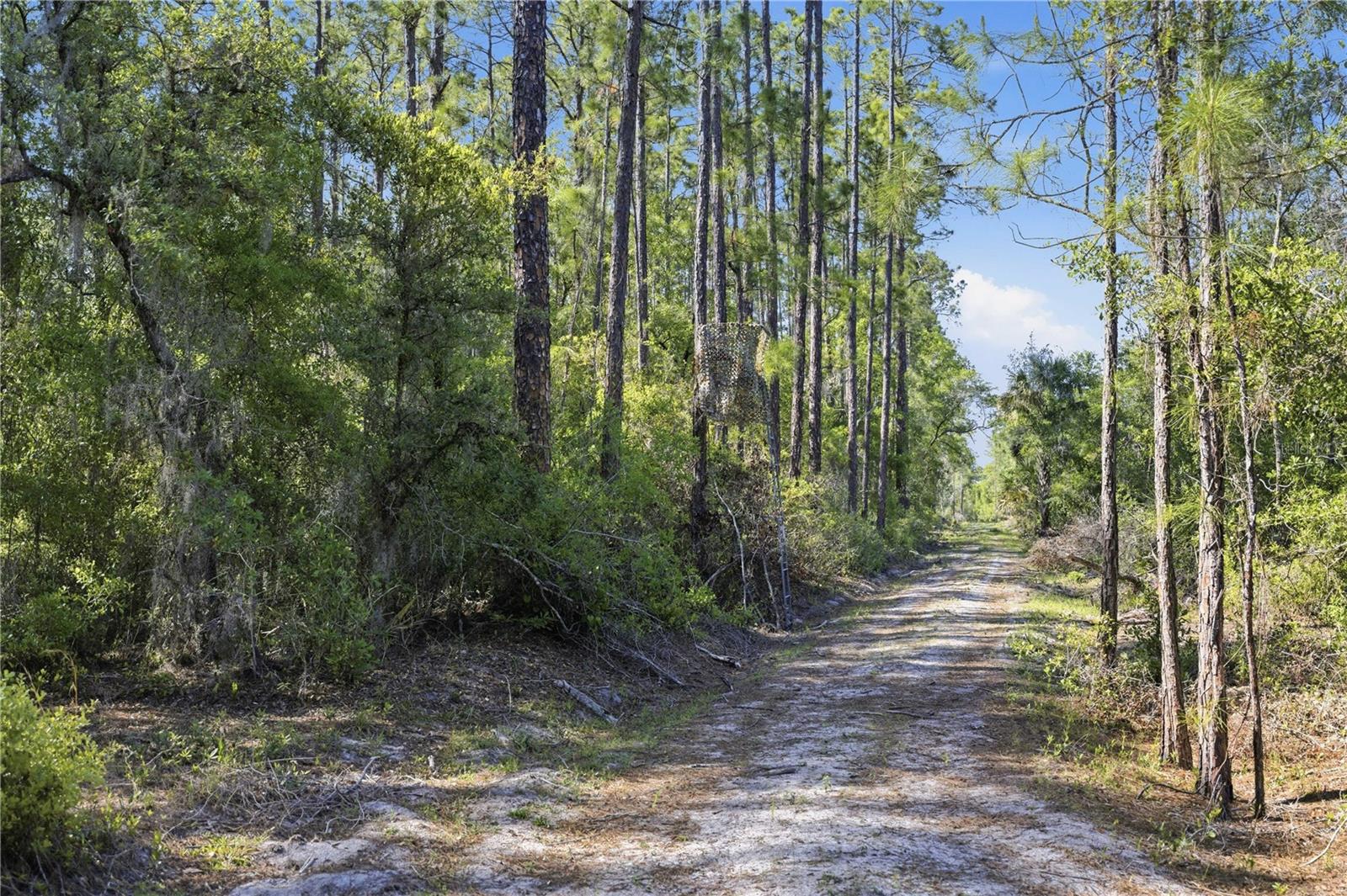 TBD NE 125TH AVE, FORT MC COY, FL, 32134