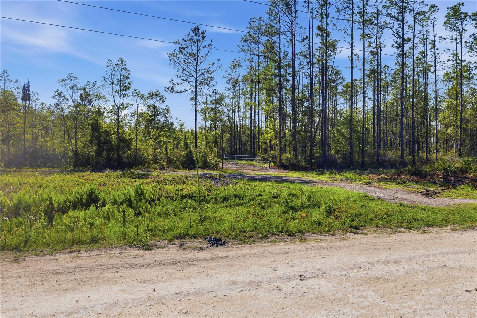 TBD NE 125TH AVE, FORT MC COY, FL, 32134