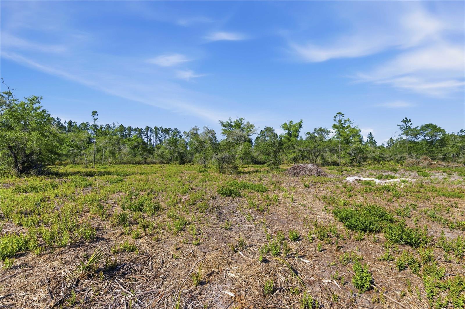 TBD NE 125TH AVE, FORT MC COY, FL, 32134