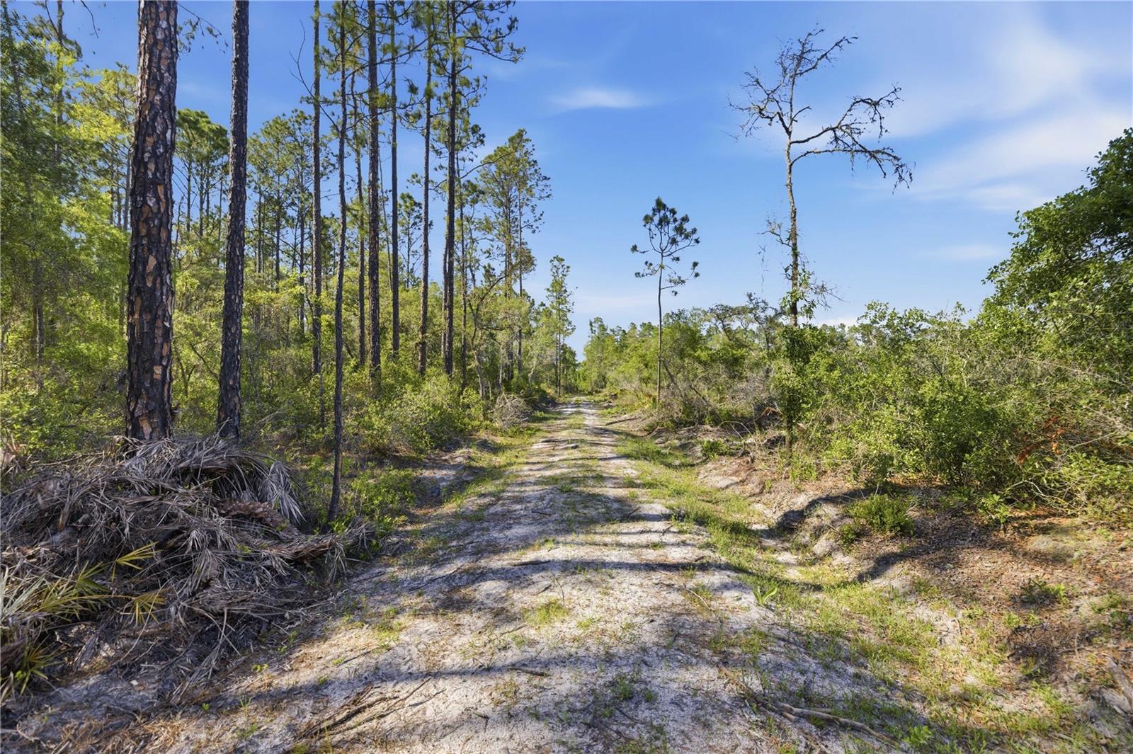 TBD NE 125TH AVE, FORT MC COY, FL, 32134