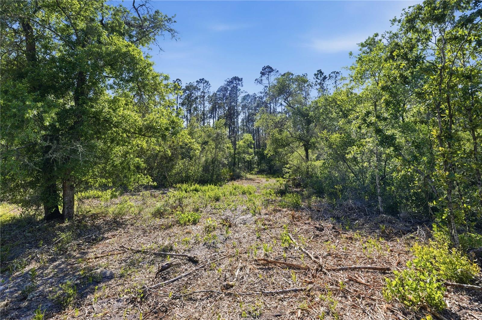 TBD NE 125TH AVE, FORT MC COY, FL, 32134