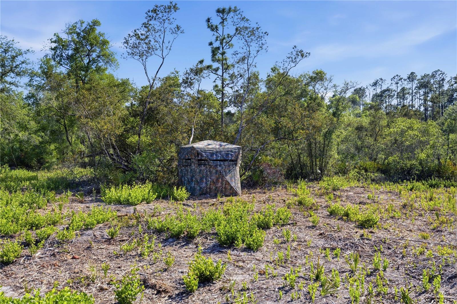 TBD NE 125TH AVE, FORT MC COY, FL, 32134