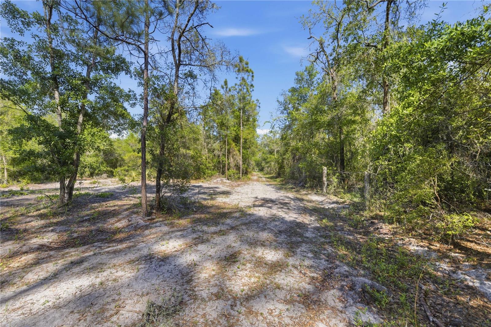 TBD NE 125TH AVE, FORT MC COY, FL, 32134