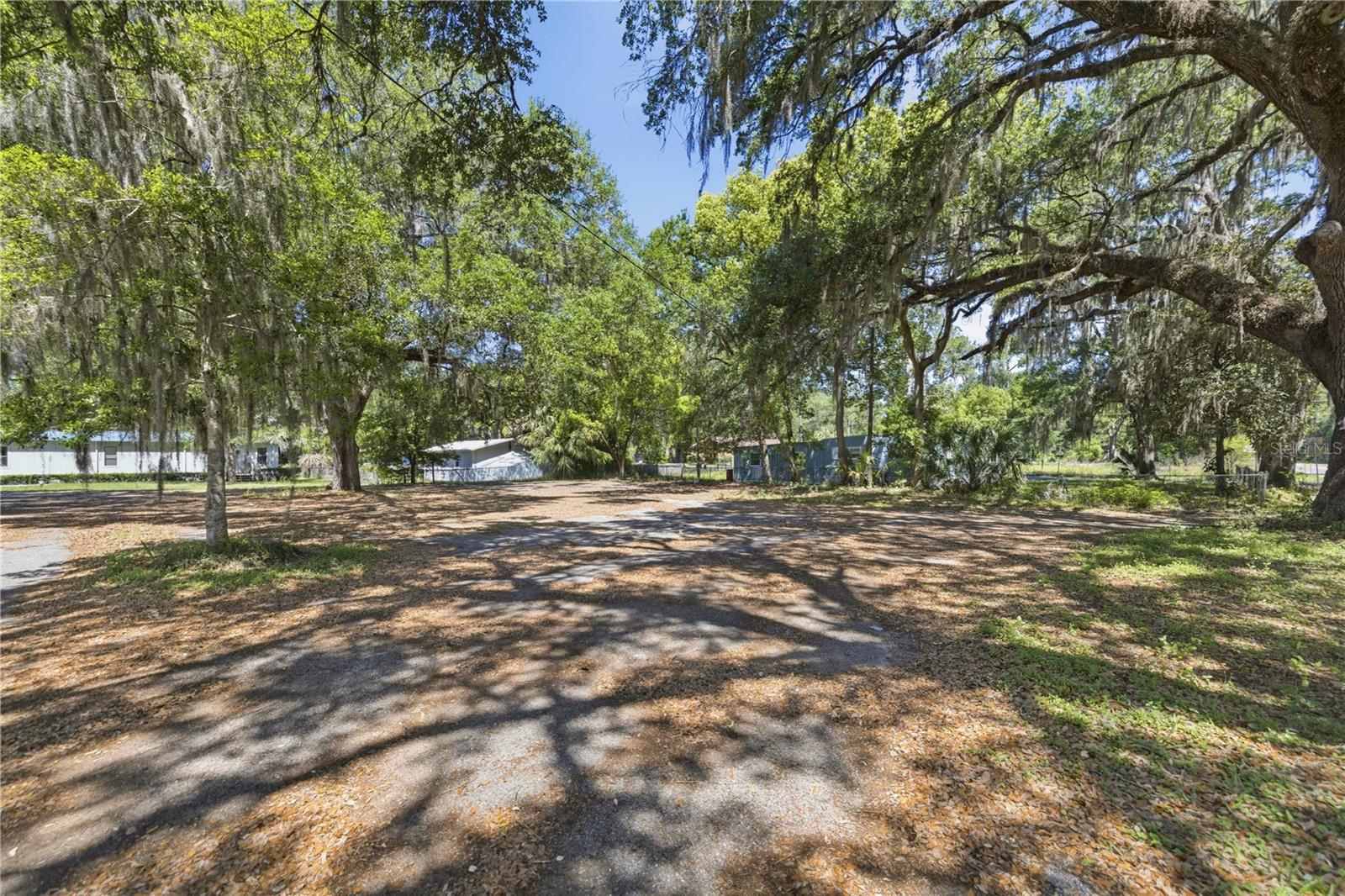 12300 SE 135TH AVE, OCKLAWAHA, FL, 32179