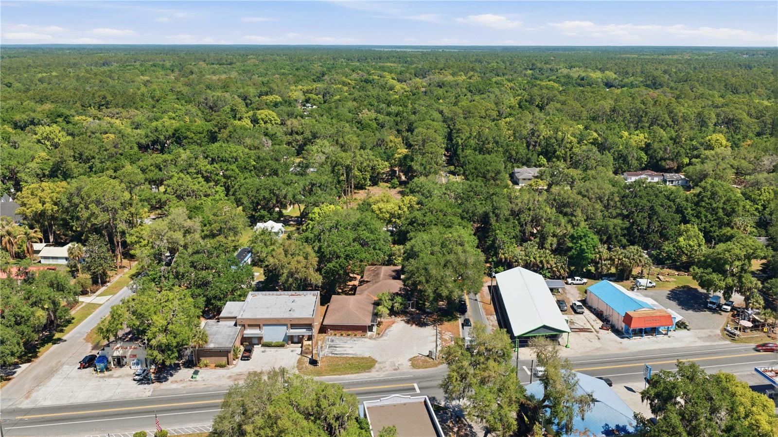 12300 SE 135TH AVE, OCKLAWAHA, FL, 32179