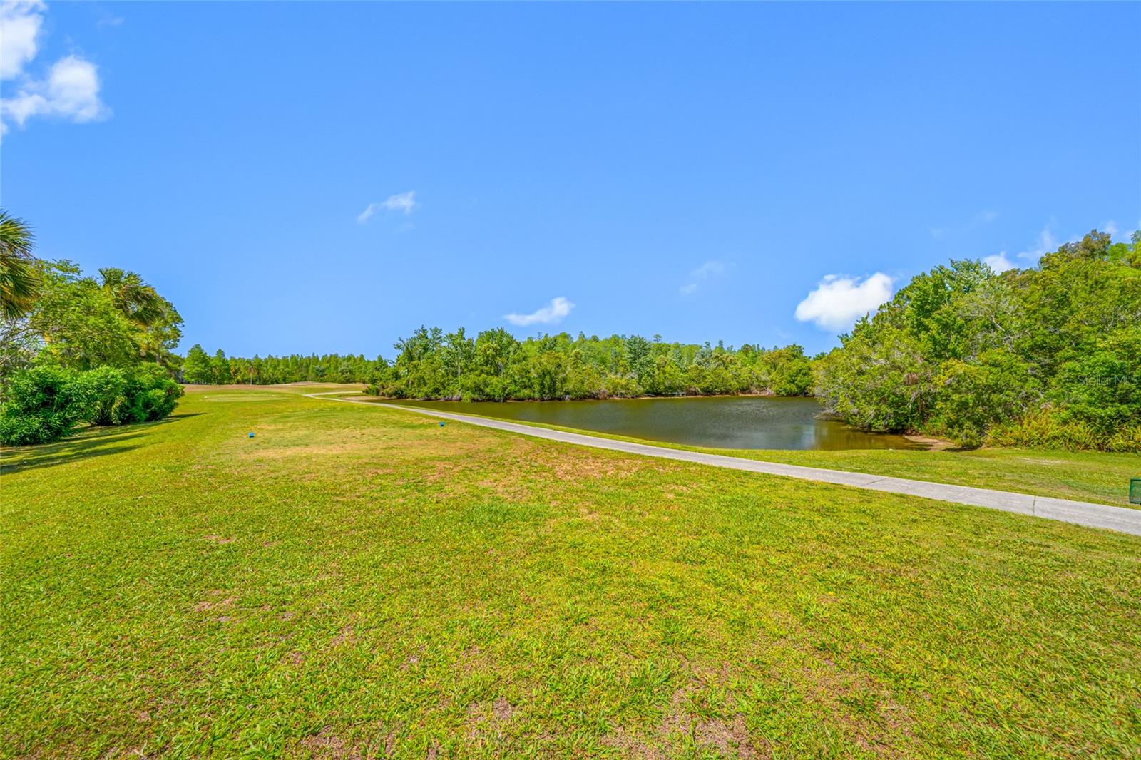 19254 FISHERMANS BEND DR, LUTZ, FL, 33558