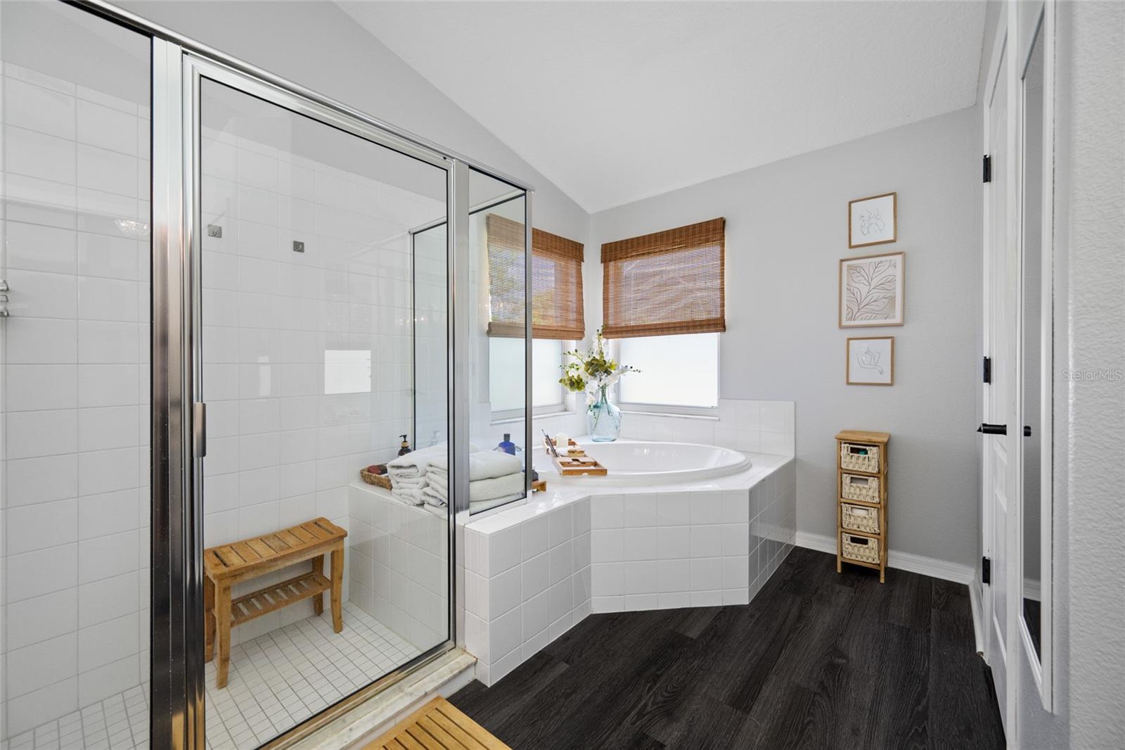 19254 FISHERMANS BEND DR, LUTZ, FL, 33558