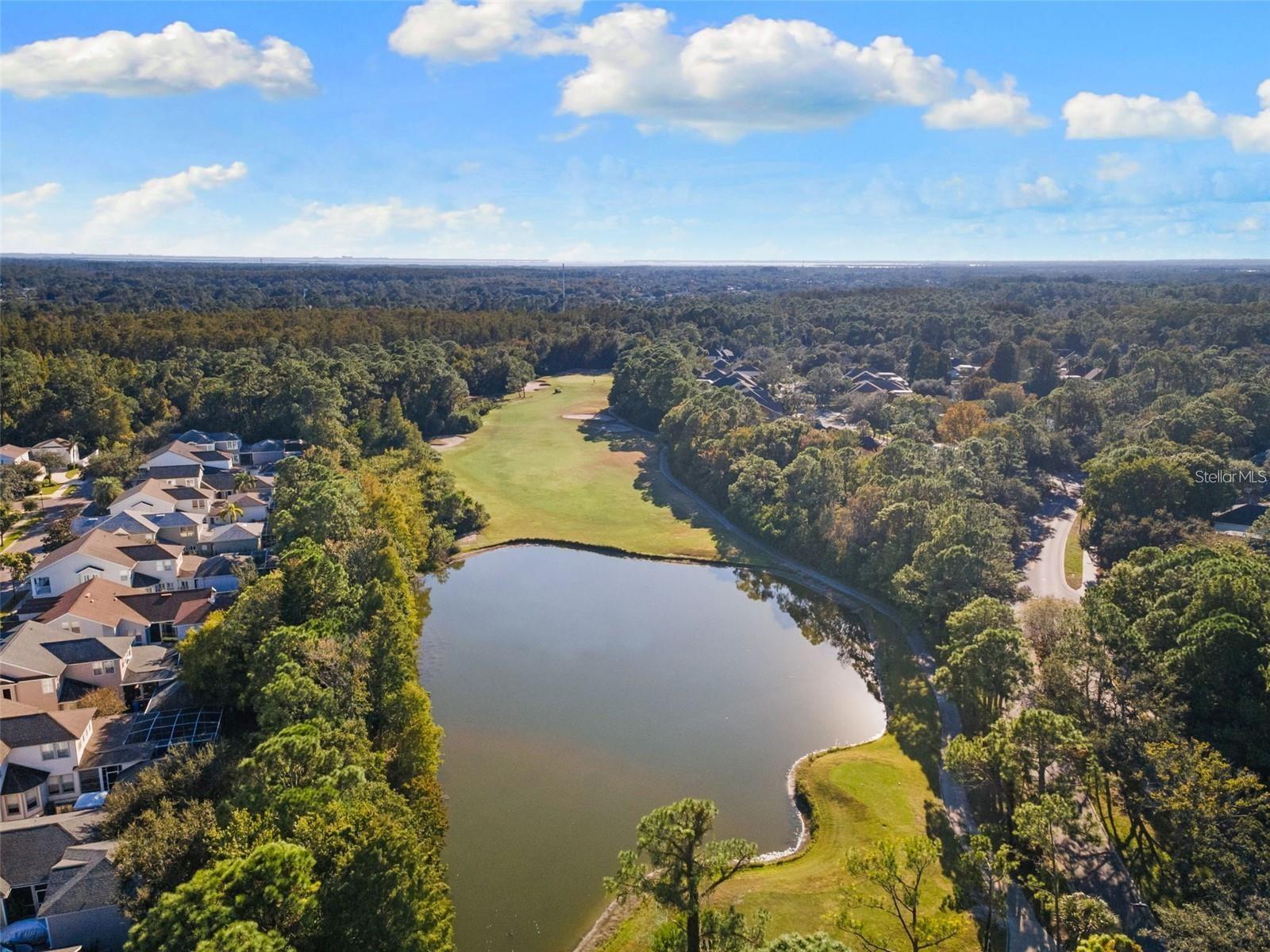 10509 WEYBRIDGE DR, TAMPA, FL, 33626