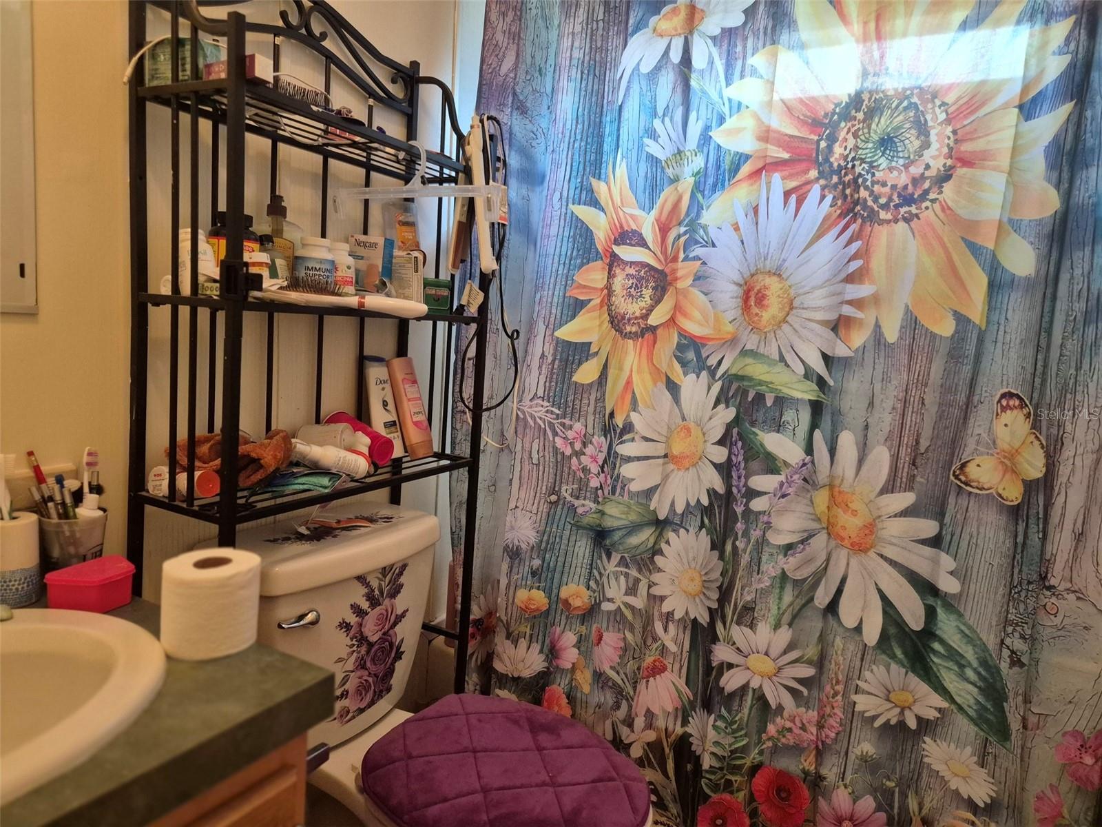 14051 SE 26TH ST, MORRISTON, FL, 32668