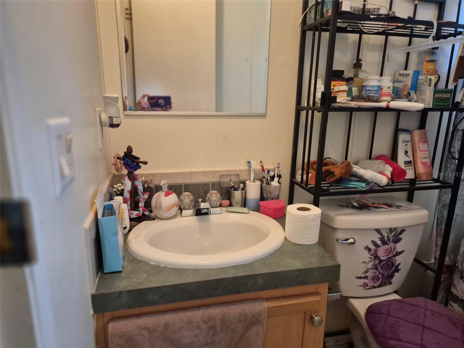 14051 SE 26TH ST, MORRISTON, FL, 32668