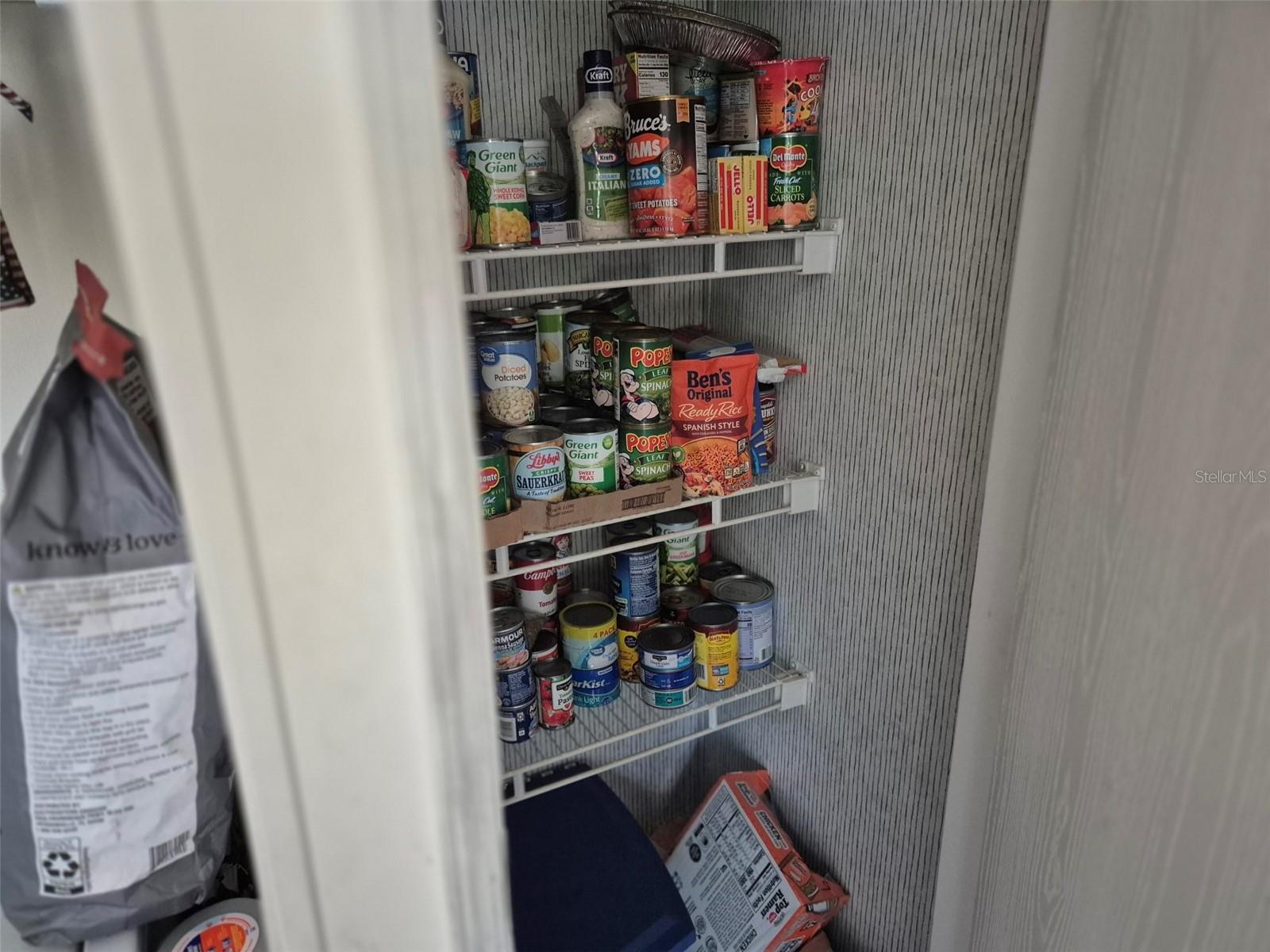 14051 SE 26TH ST, MORRISTON, FL, 32668