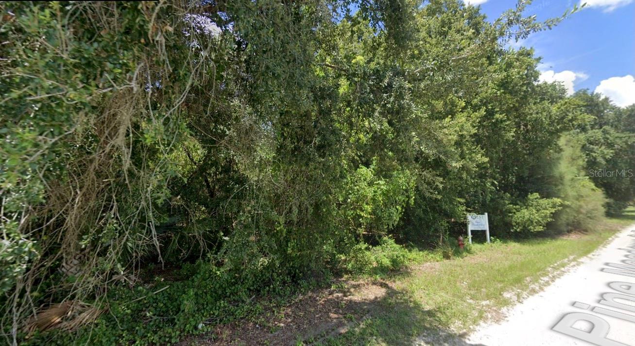 PINE MEADOWS RD, EUSTIS, FL, 32726