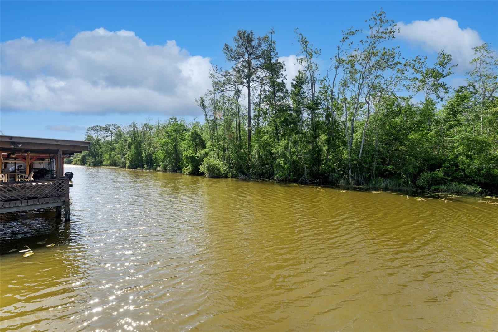 13502 COUNTRY CLUB DR, TAVARES, FL, 32778