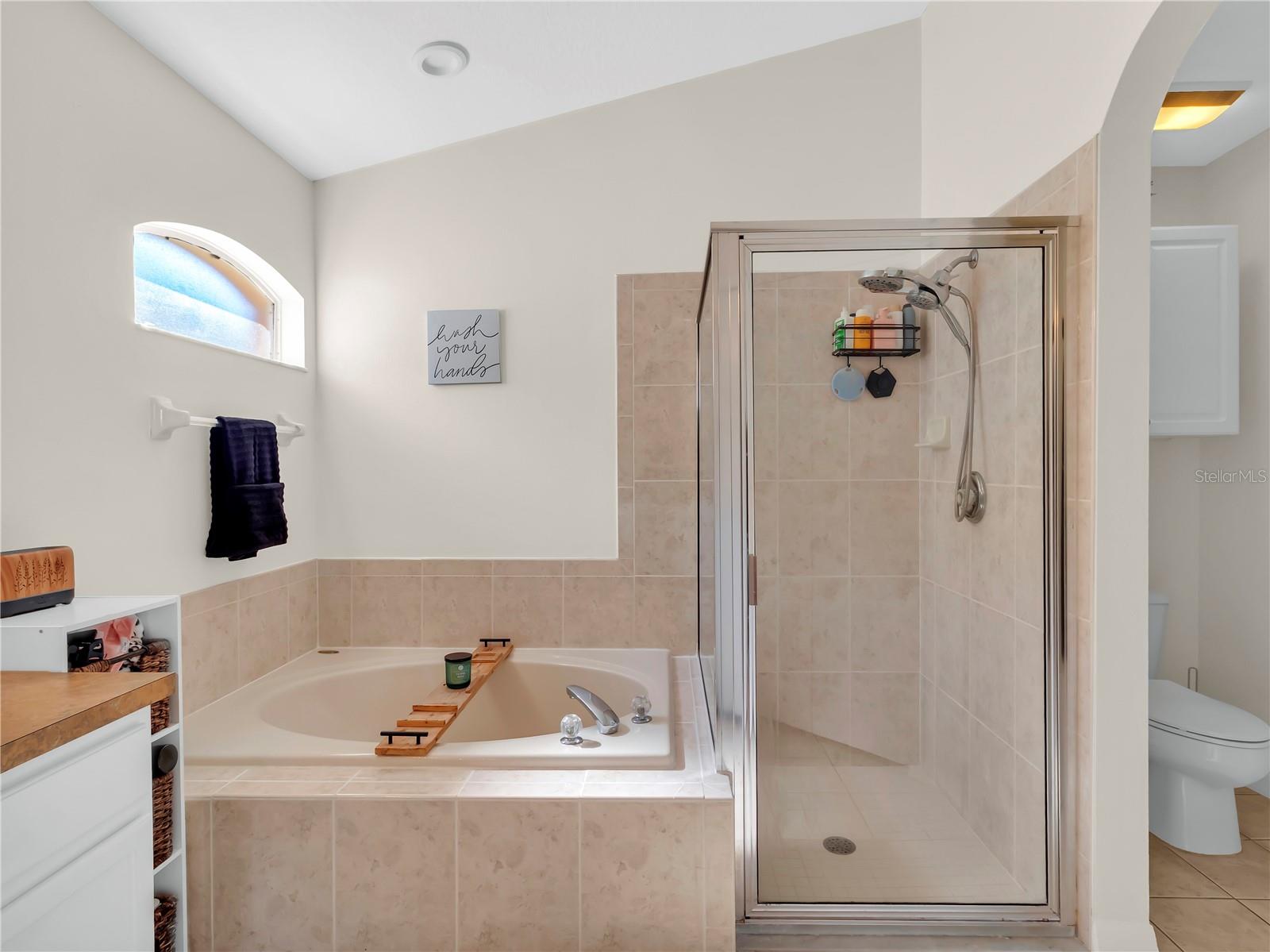 11529 CYPRESS RESERVE DR, TAMPA, FL, 33626