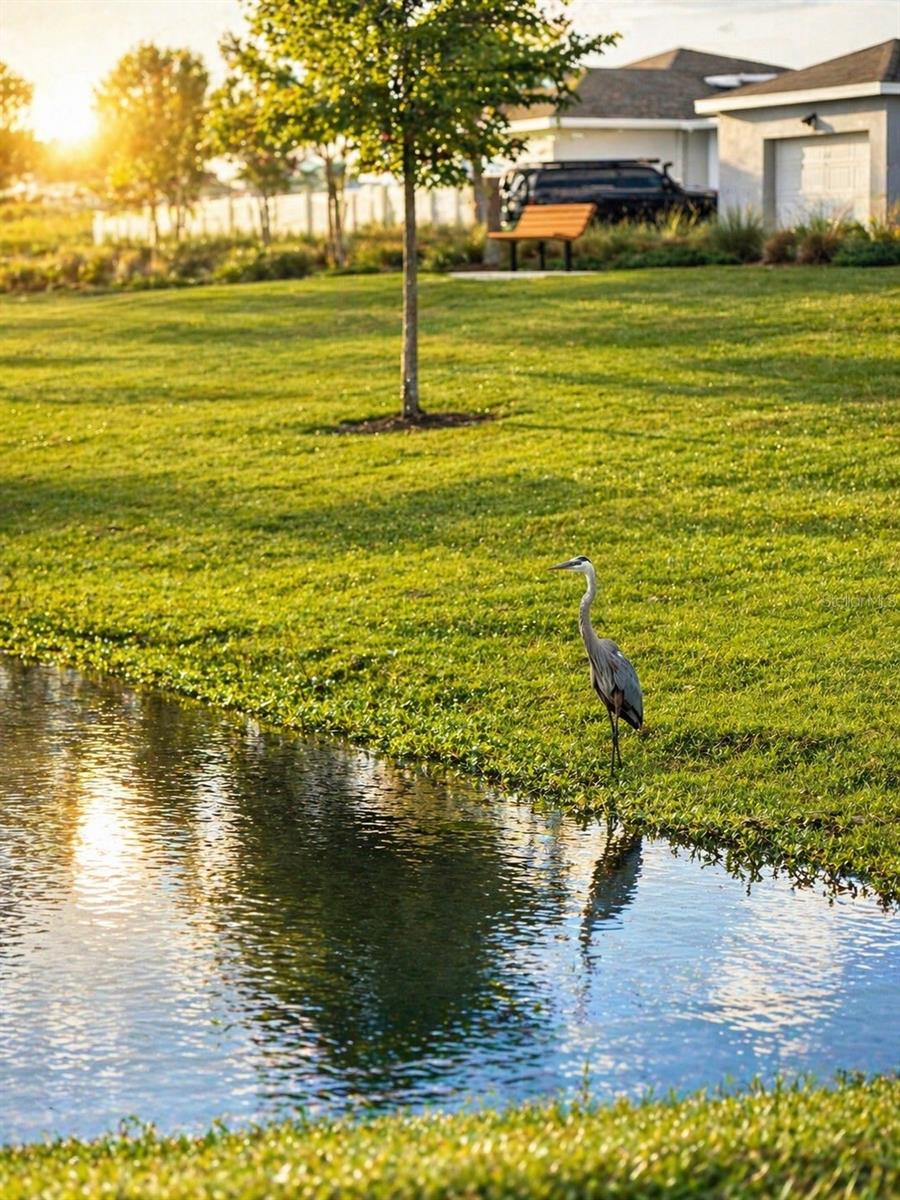 2604 SUMMER CLOUDS WAY, KISSIMMEE, FL, 34744