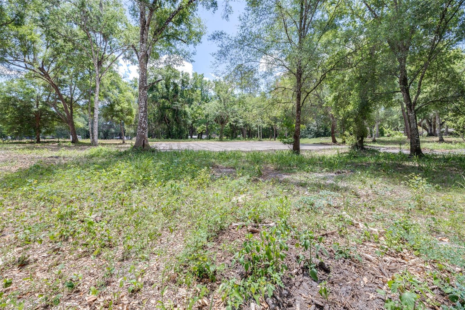 SE 124TH AVE, WEBSTER, FL, 33597
