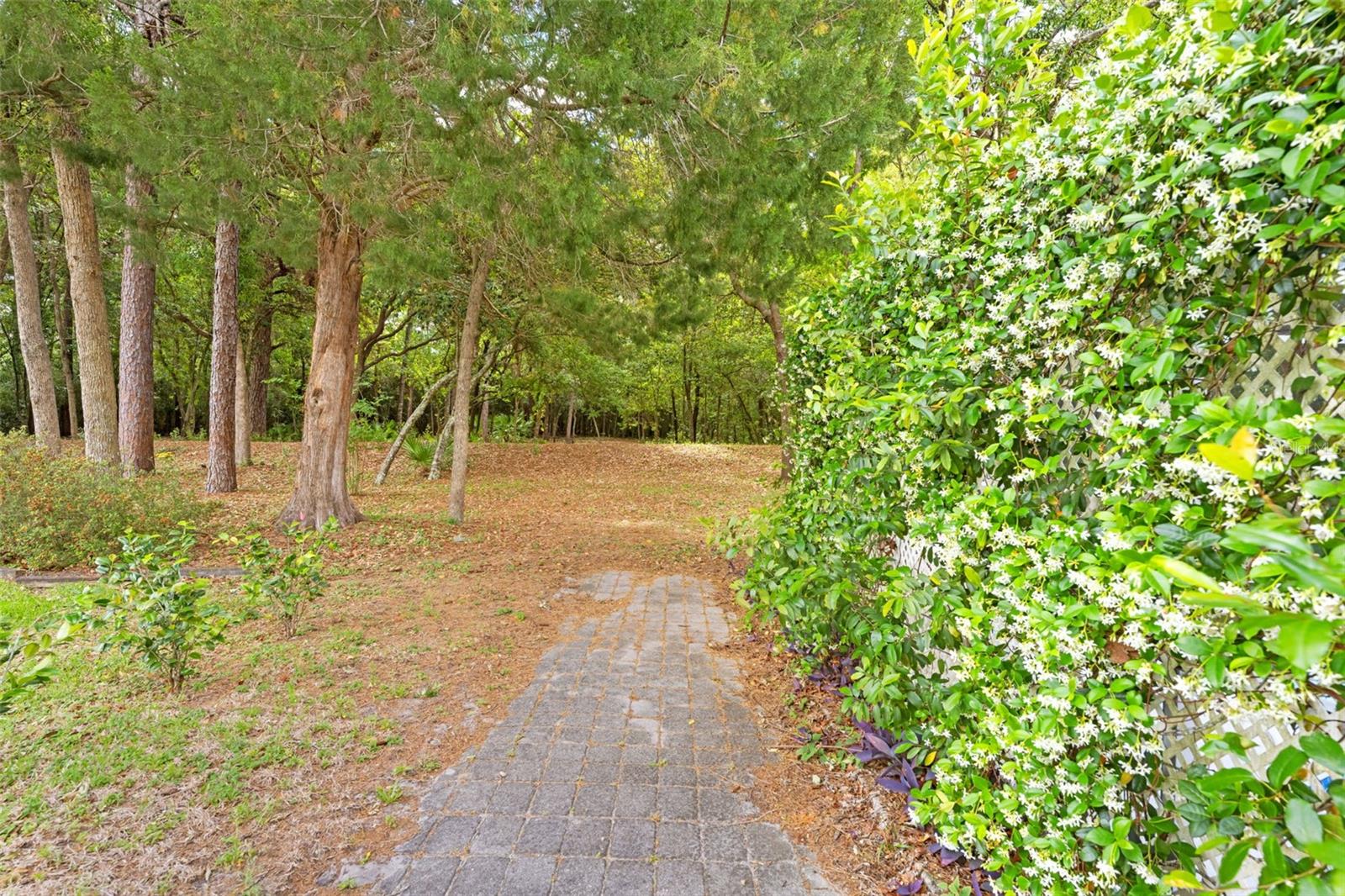 5 CHINKAPIN CIR, HOMOSASSA, FL, 34446