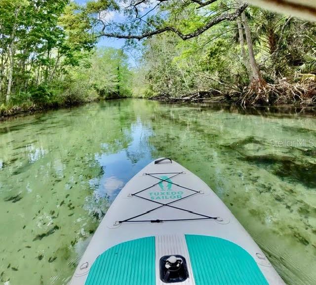 6448 W RICHARD DR, WEEKI WACHEE, FL, 34607