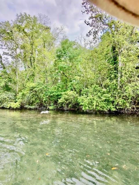 6448 W RICHARD DR, WEEKI WACHEE, FL, 34607