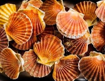 6448 W RICHARD DR, WEEKI WACHEE, FL, 34607