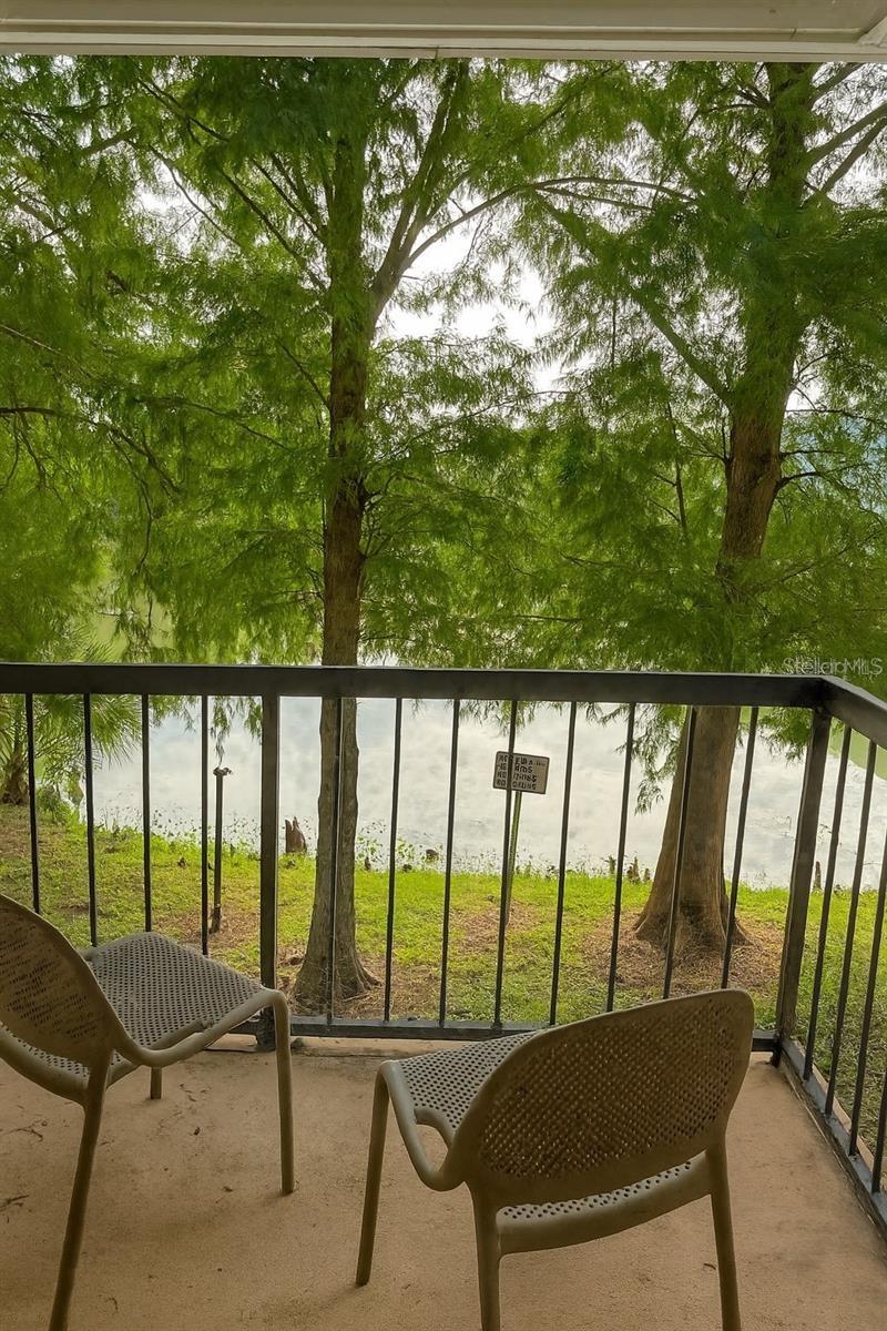 1948 LAKE ATRIUMS CIR #118, ORLANDO, FL, 32839