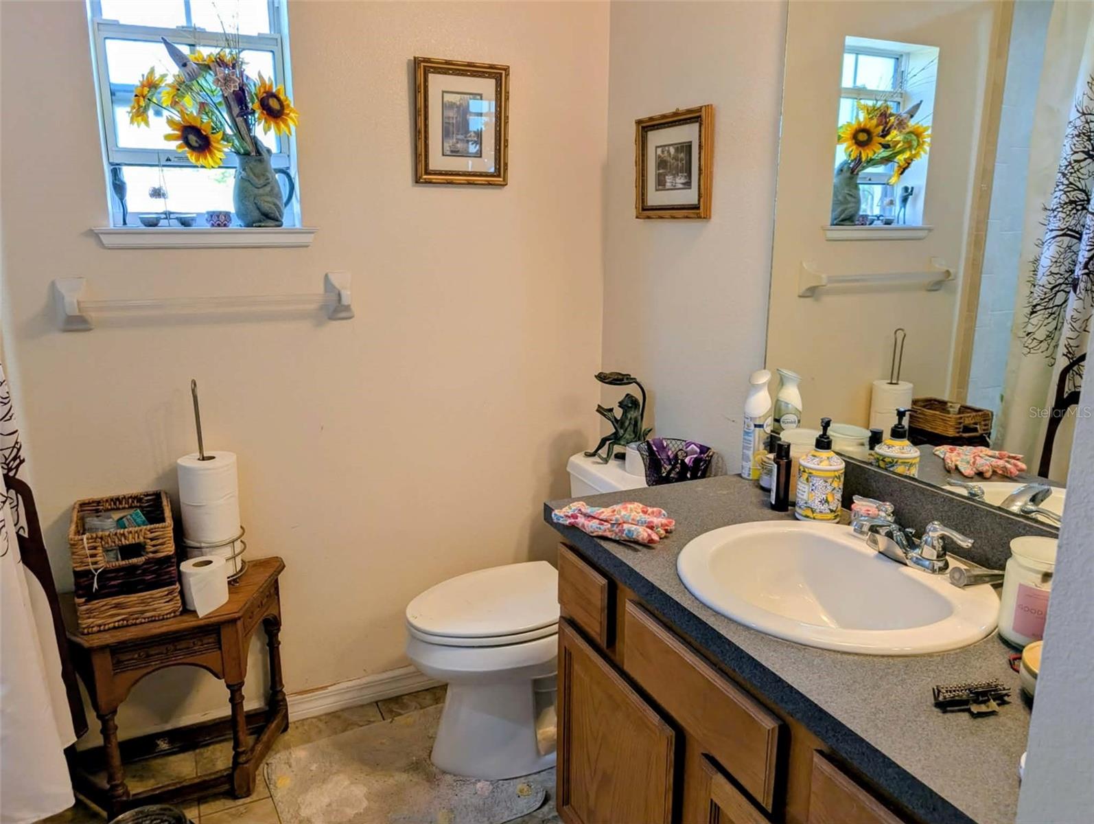 35819 NOVA LN, EUSTIS, FL, 32736