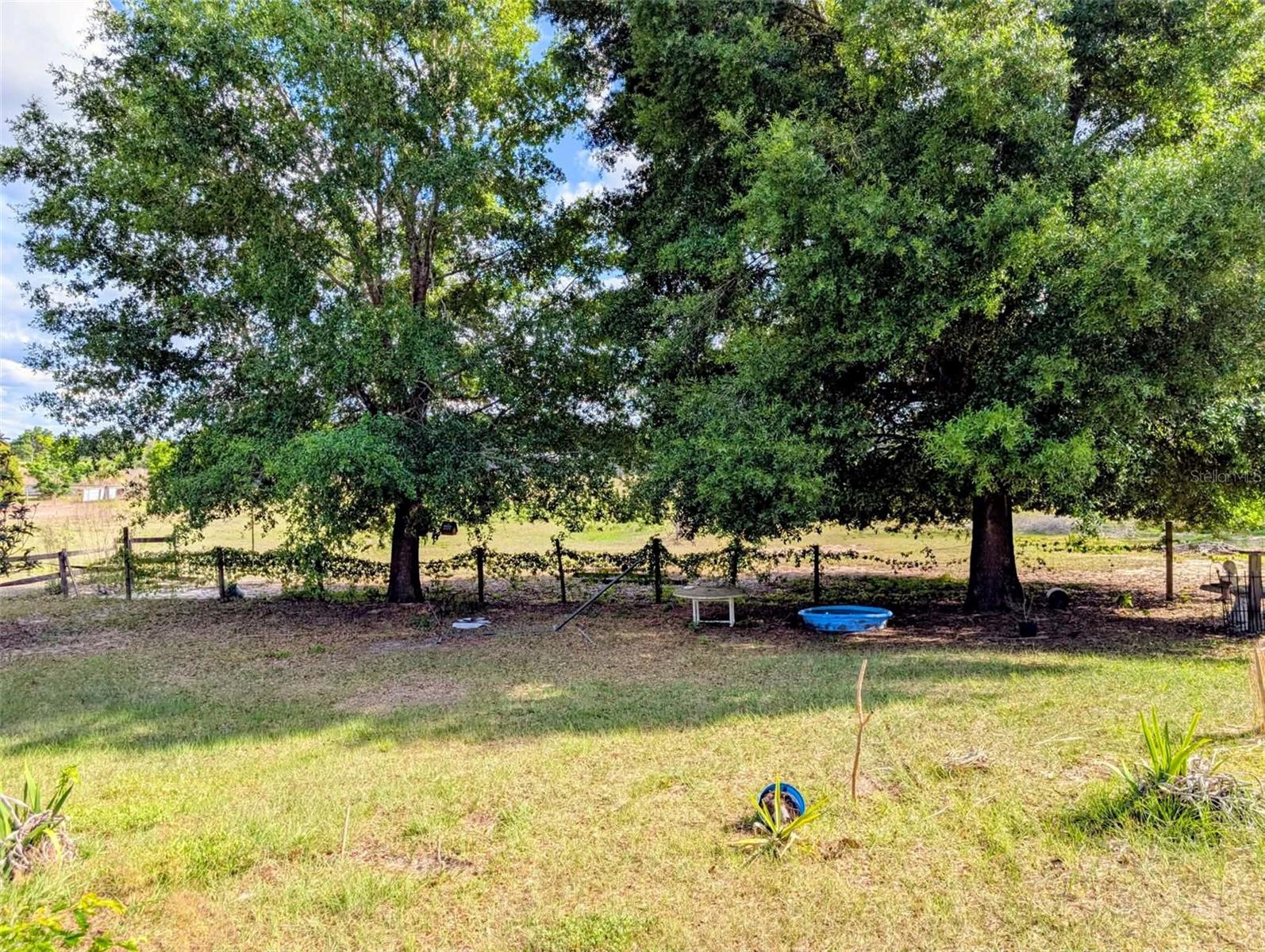 35819 NOVA LN, EUSTIS, FL, 32736