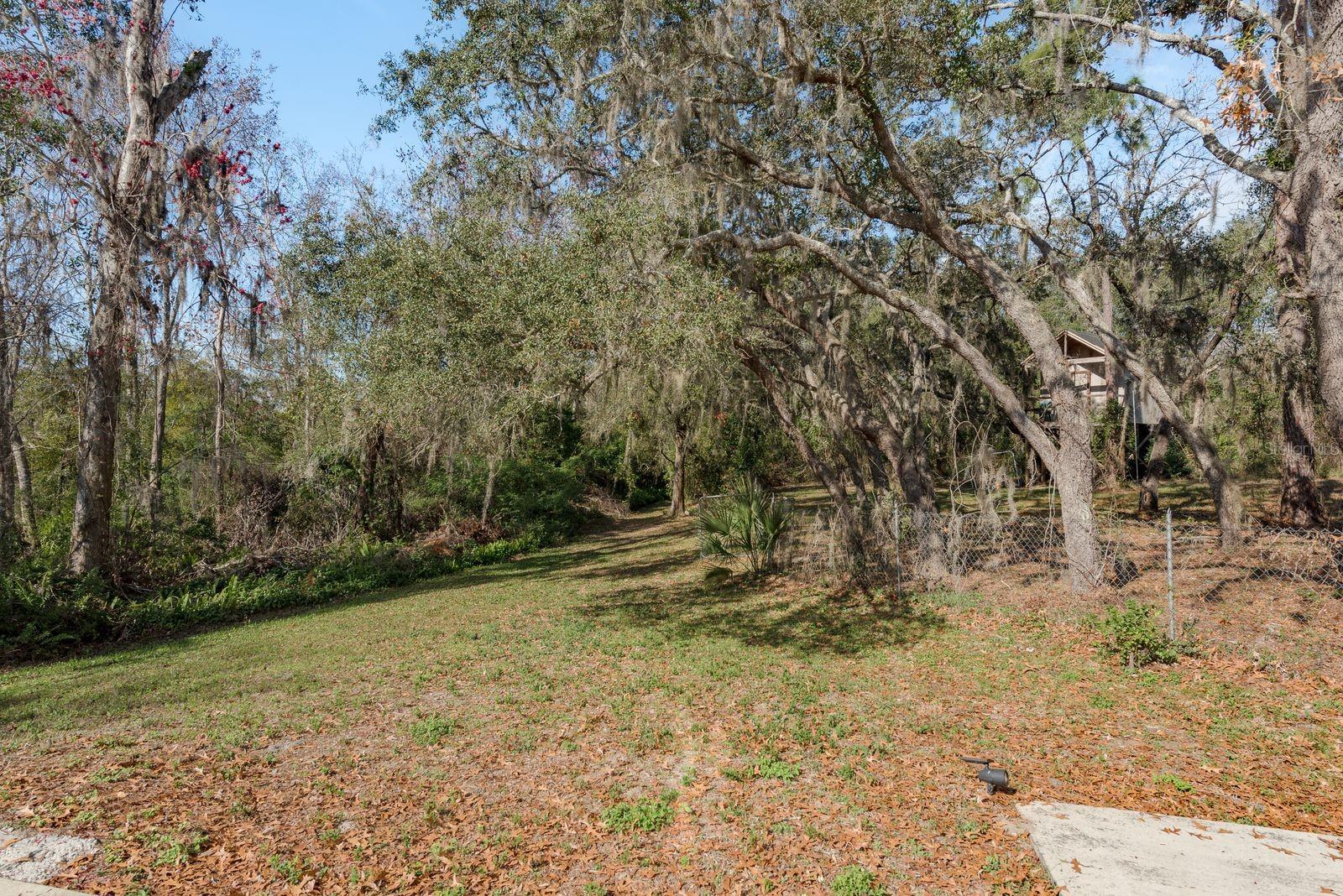 6615 RIDGE TOP DR, TRINITY, FL, 34655