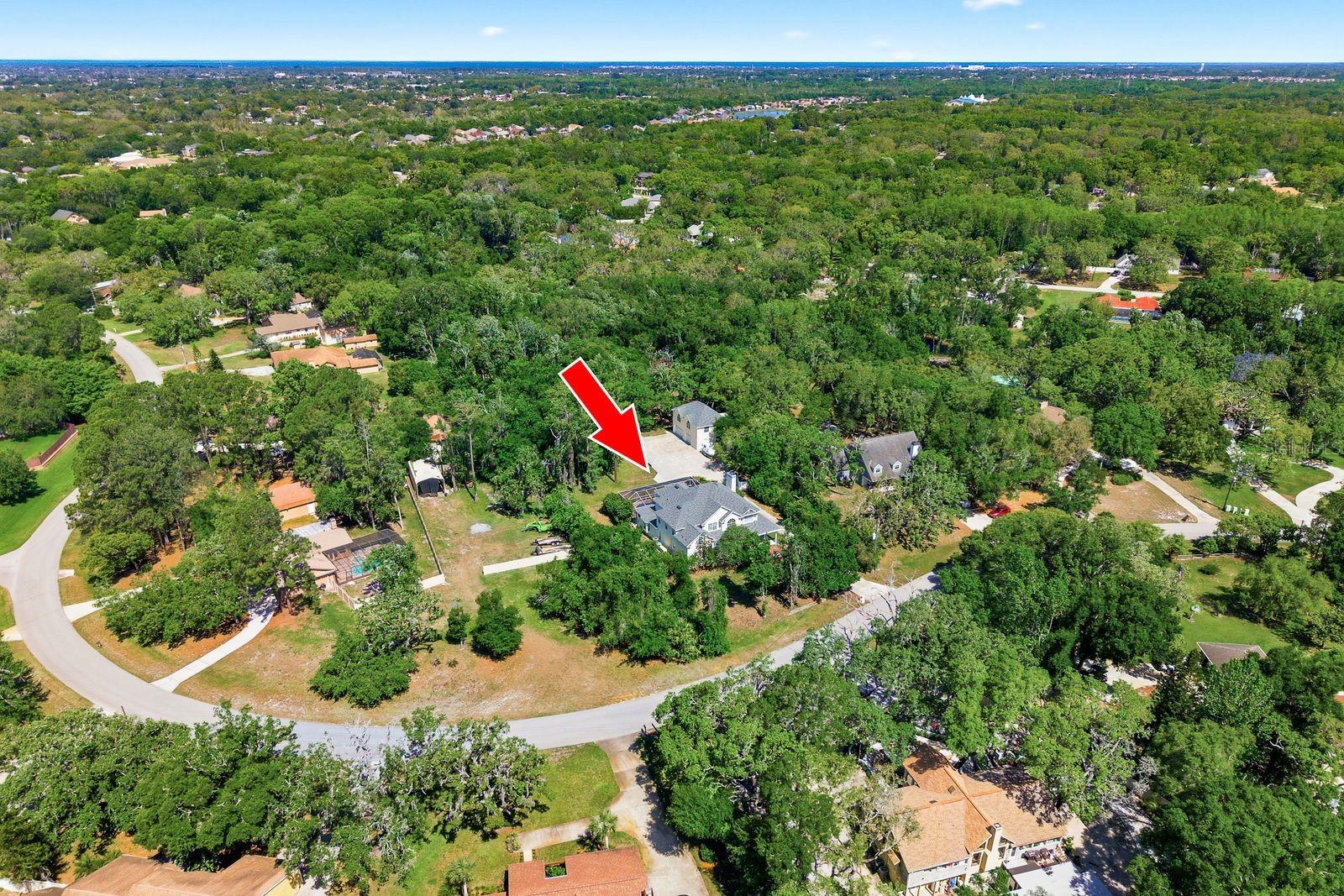 6615 RIDGE TOP DR, TRINITY, FL, 34655