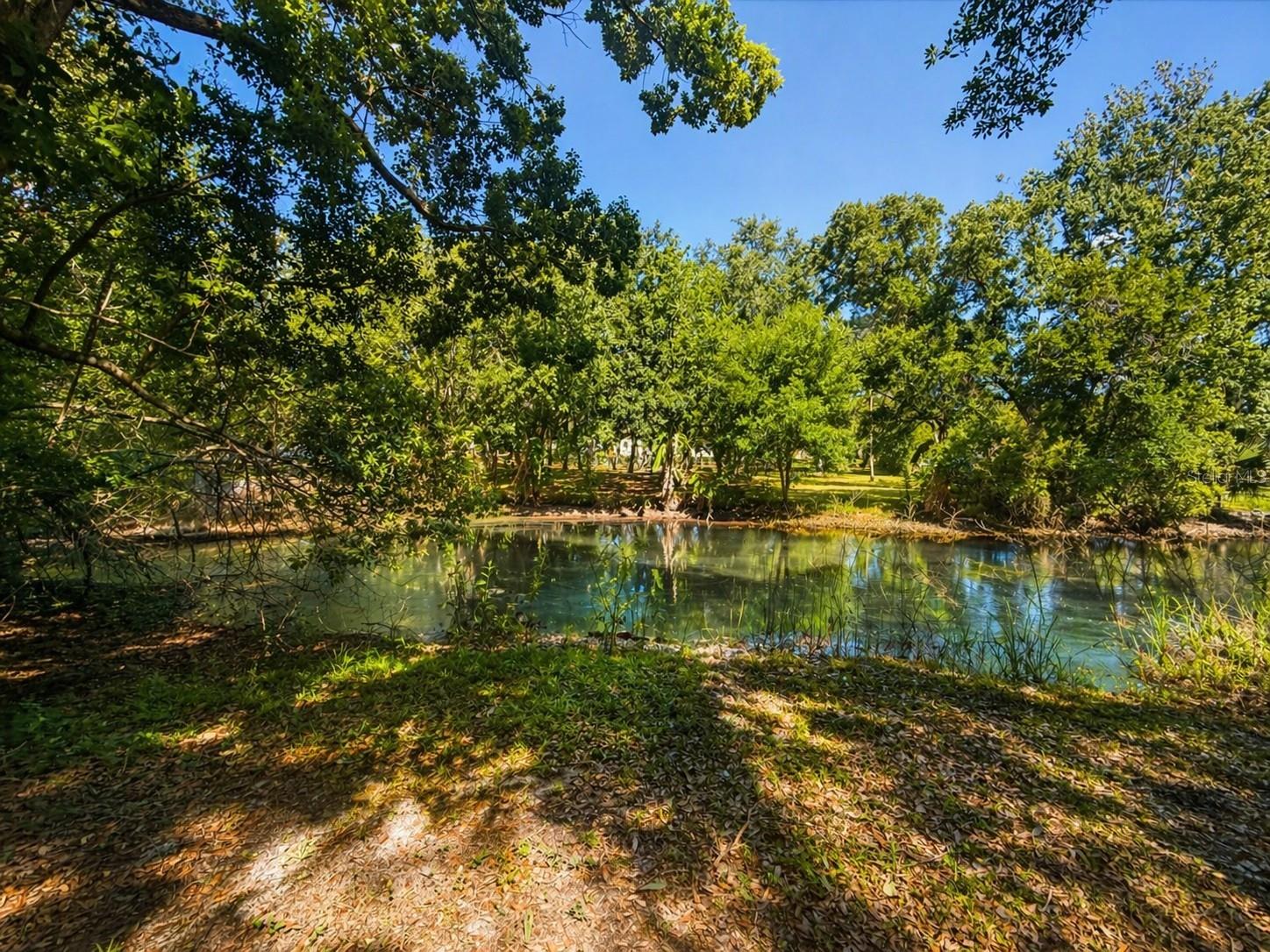 6615 RIDGE TOP DR, TRINITY, FL, 34655