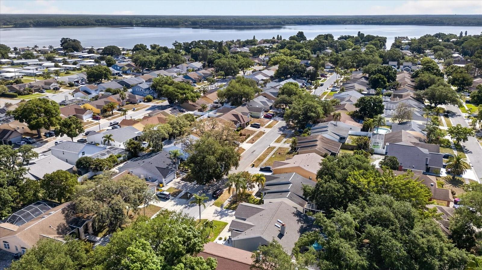 2942 SEAN WAY, PALM HARBOR, FL, 34684