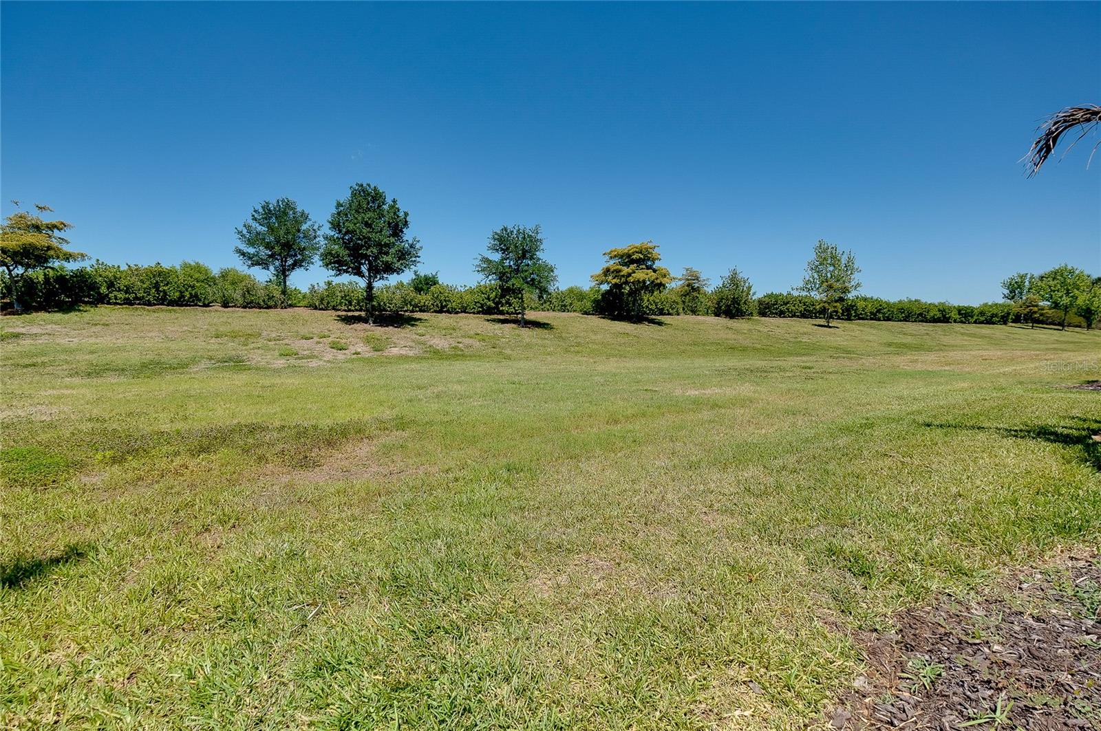 24113 SPARTINA DR, VENICE, FL, 34293