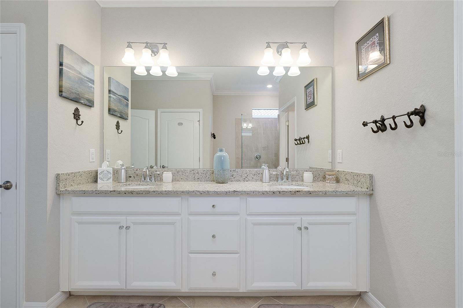 24113 SPARTINA DR, VENICE, FL, 34293