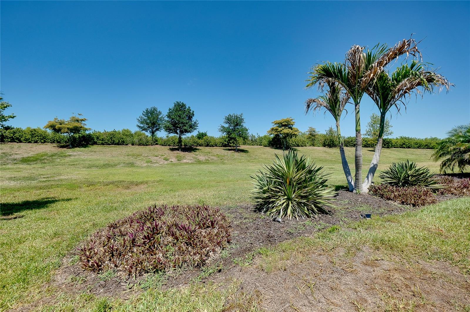 24113 SPARTINA DR, VENICE, FL, 34293