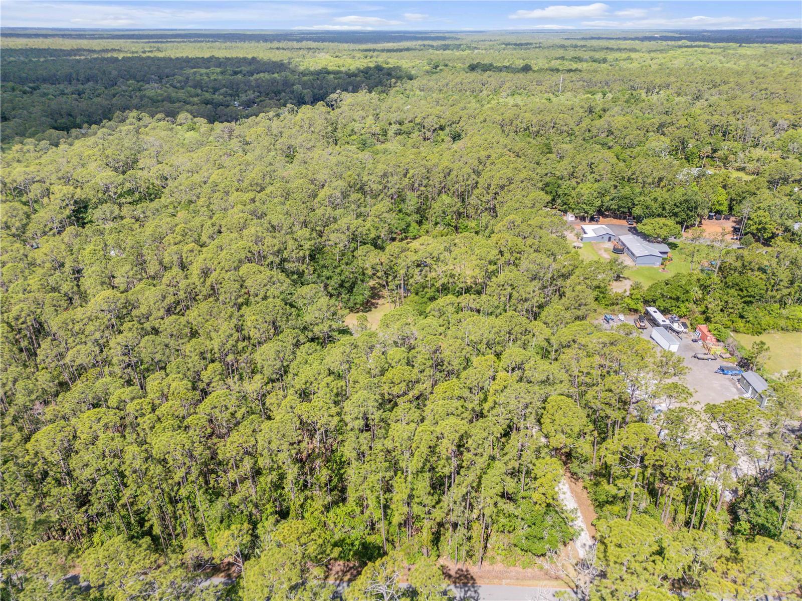 2380 GUAVA DR, PORT ORANGE, FL, 32128