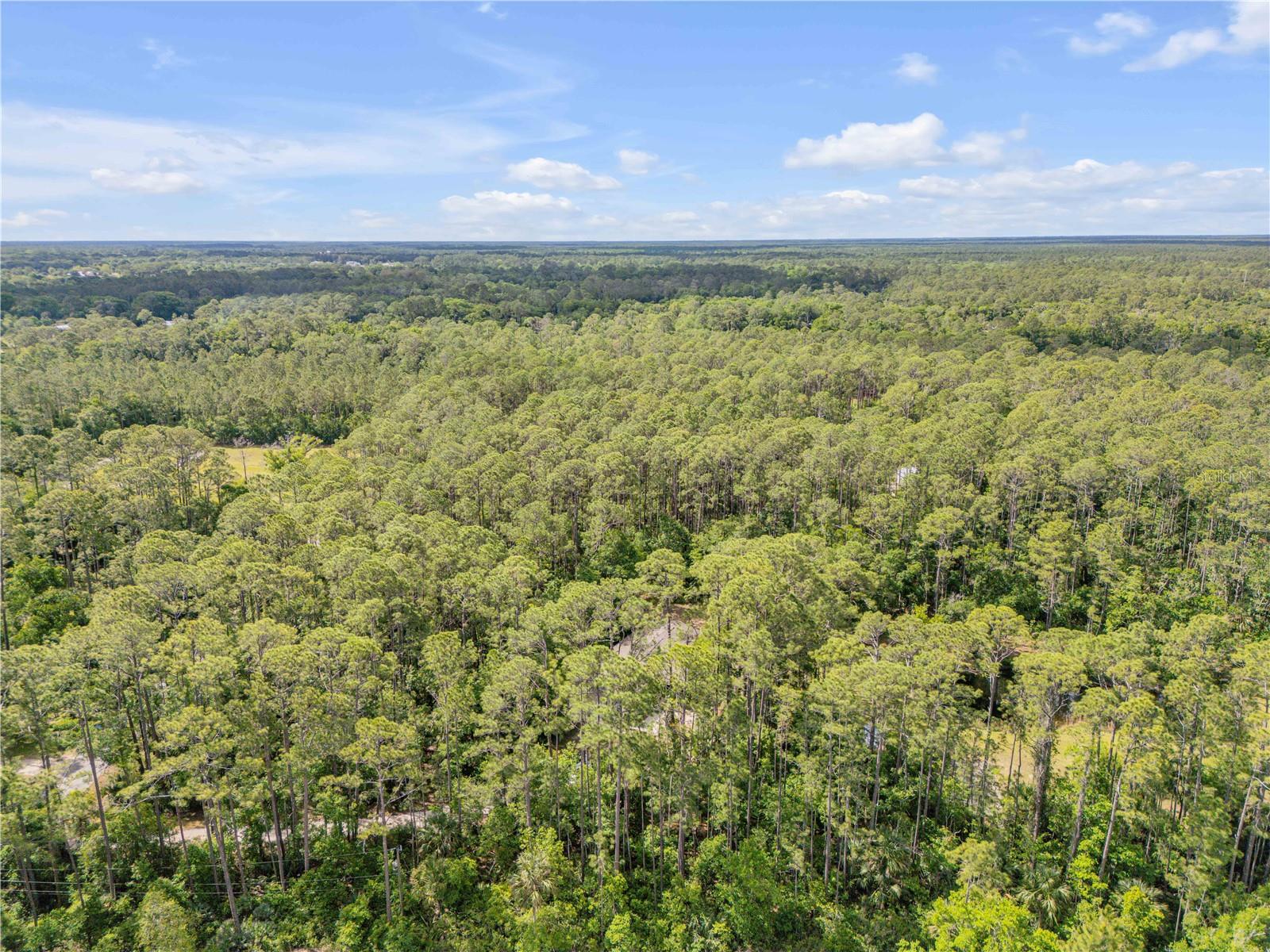 2380 GUAVA DR, PORT ORANGE, FL, 32128