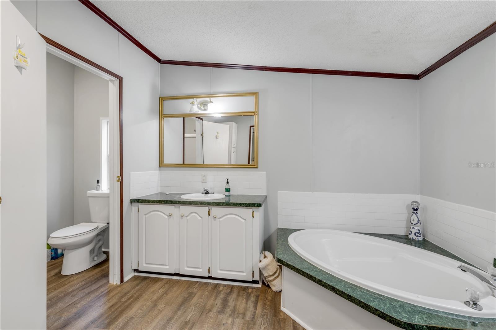 2380 GUAVA DR, PORT ORANGE, FL, 32128