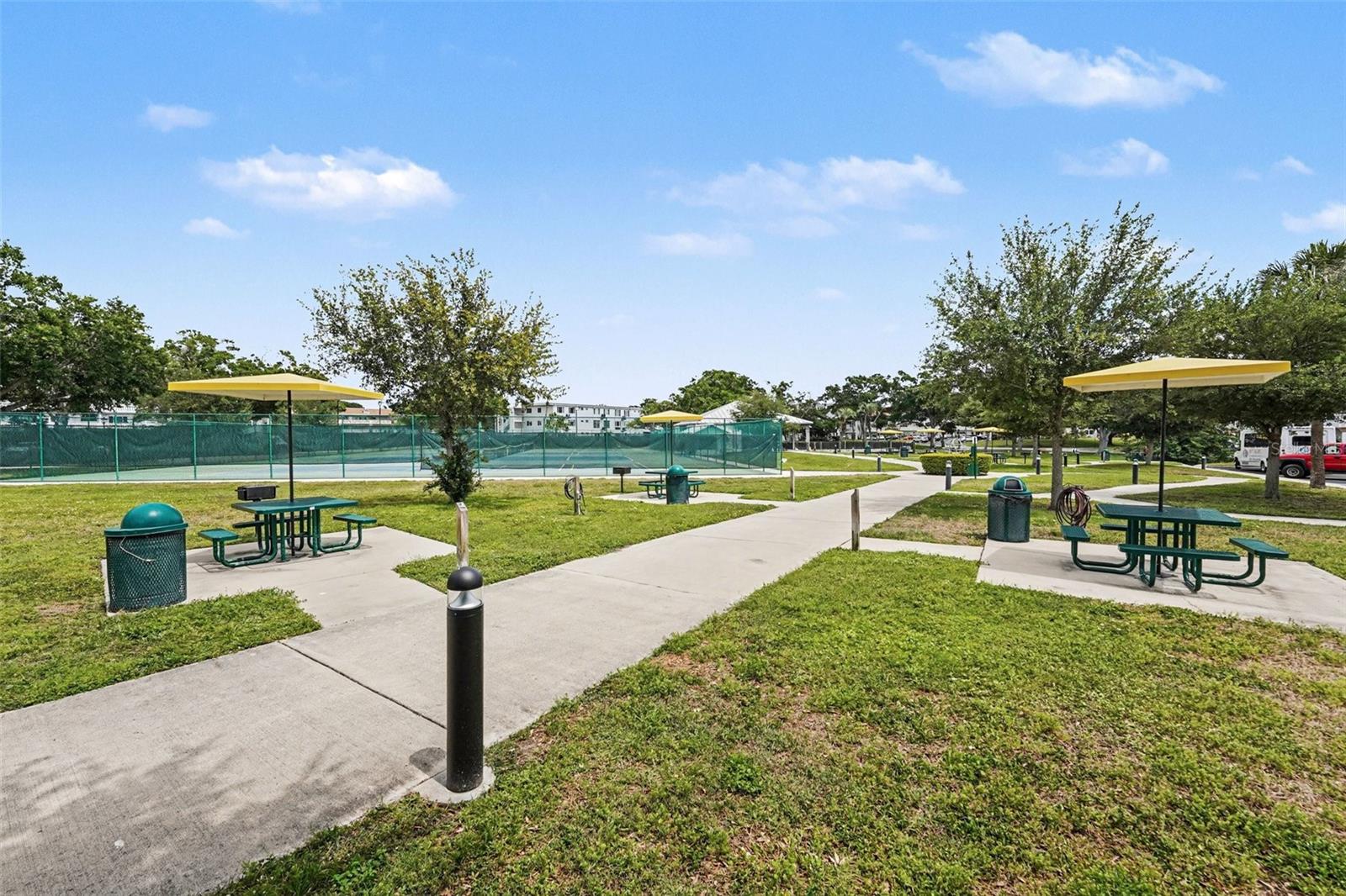 2449 COLUMBIA DR #29, CLEARWATER, FL, 33763