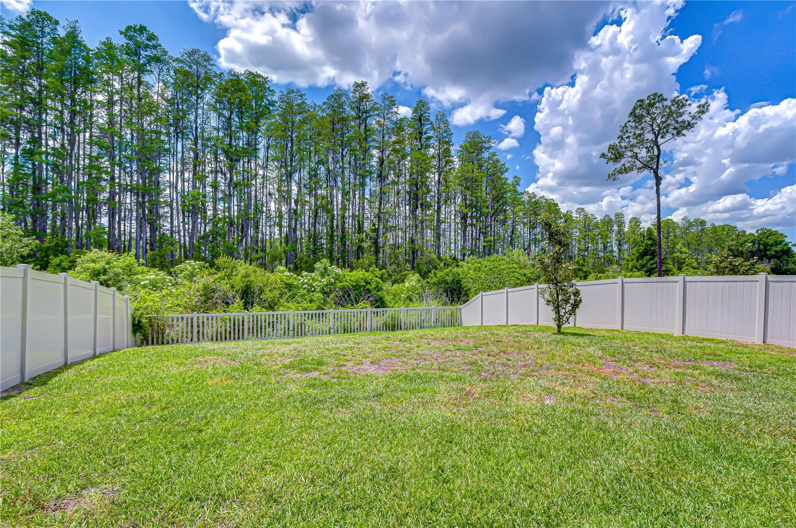 20978 MONZA LOOP, LAND O LAKES, FL, 34638