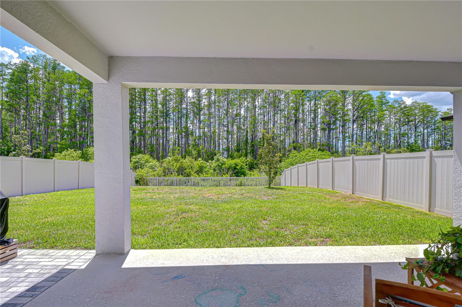 20978 MONZA LOOP, LAND O LAKES, FL, 34638