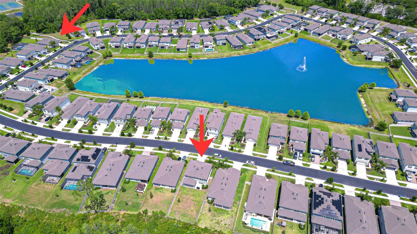 20978 MONZA LOOP, LAND O LAKES, FL, 34638