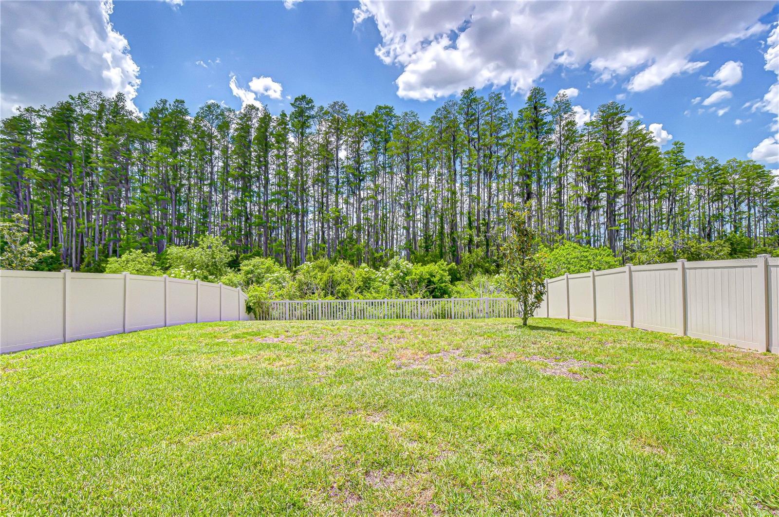 20978 MONZA LOOP, LAND O LAKES, FL, 34638