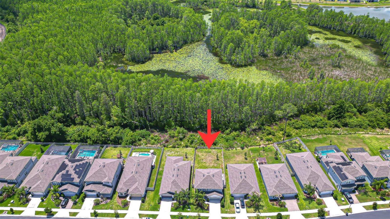 20978 MONZA LOOP, LAND O LAKES, FL, 34638