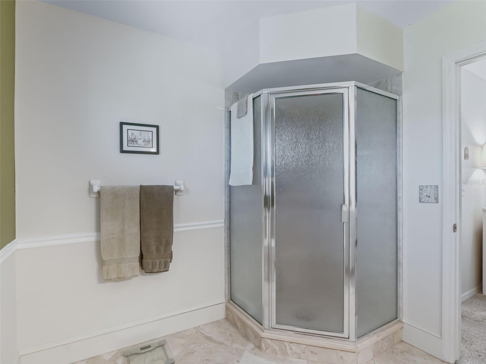 9797 SE 175TH LN, SUMMERFIELD, FL, 34491