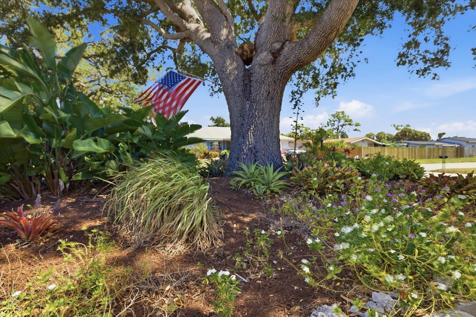 1212 PINELAND AVE, VENICE, FL, 34285