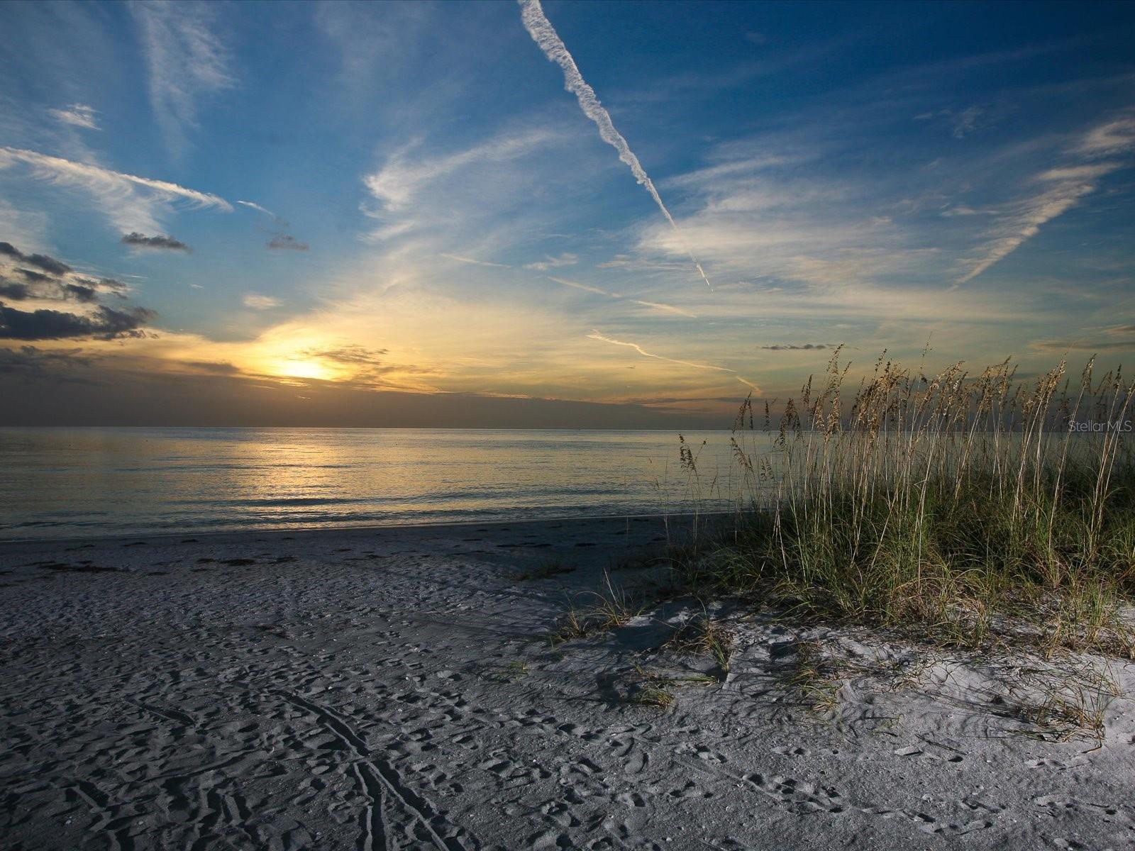 708 TAMIAMI TRL S #105, VENICE, FL, 34285