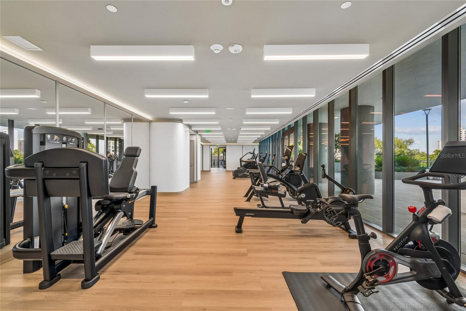 3015 S YSABELLA AVE #1102, TAMPA, FL, 33629