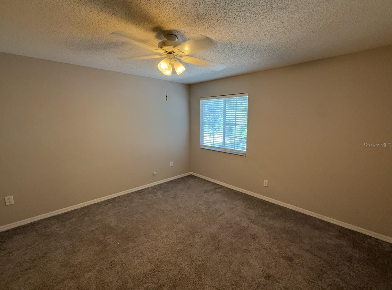 12919 BRANT TREE DR, RIVERVIEW, FL, 33579