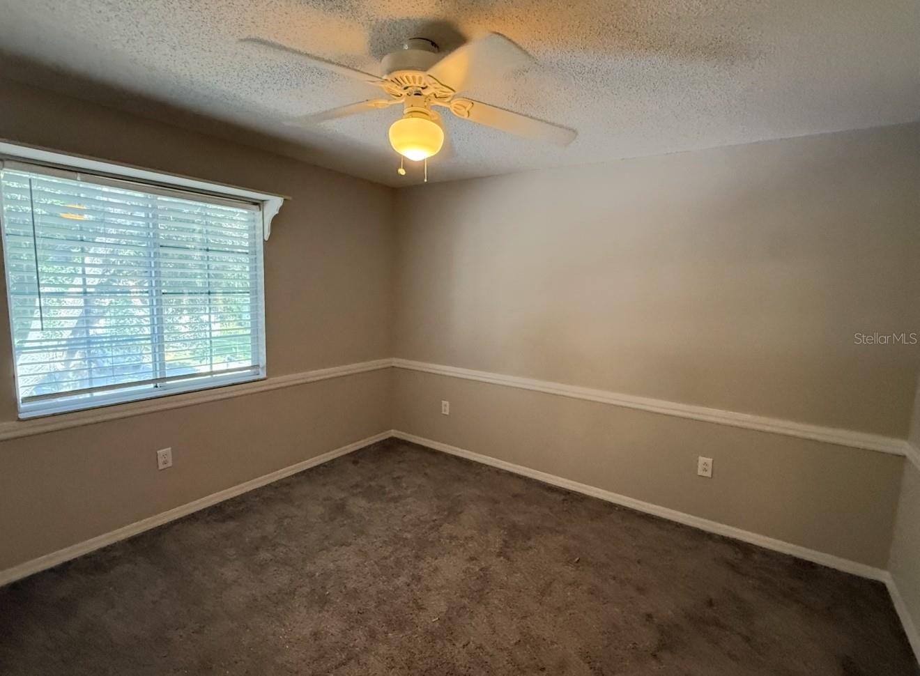 12919 BRANT TREE DR, RIVERVIEW, FL, 33579